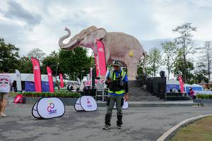 BIB: 
                            <button type="button" onclick="openModal(26528244)" class="btn btn-primary btn-sm float-right btn-popup" data-toggle="modal" data-target=".modal-high-quality">
                        <i class="fas fa-shopping-cart"></i> Add to Cart
                    </button>
                                            <button type="button" onclick="isThisMe(26528244, true)" class="btn btn-success btn-sm float-right btn-popup btn-isme hidden" data-toggle="tooltip" data-placement="bottom" title="นี่คือรูปของคุณใช่ไหม คลิกที่นี่เพื่อเอาเข้าอัลบั้ม">
                        <i class="fas fa-plus"></i> Add to album
                    </button>
                    <button type="button" onclick="isThisMe(26528244, false)" class="btn btn-warning btn-sm float-right btn-popup btn-isnotme hidden">
                        <i class="fas fa-ban"></i> Remove from album
                    </button>